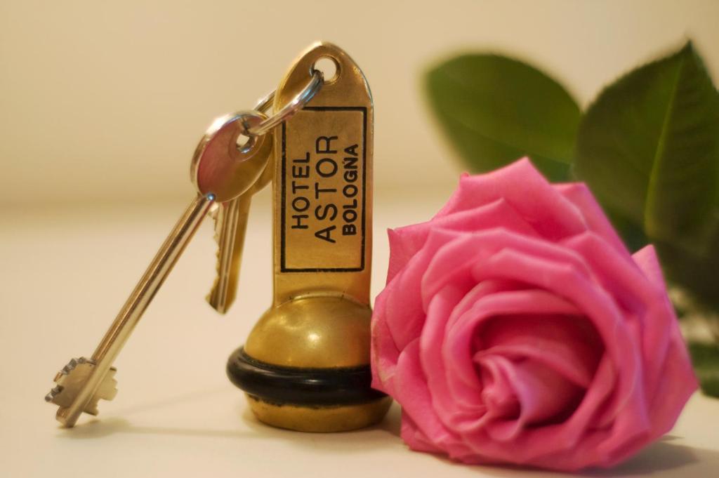 Classic Double or Twin Room,684819960:JPEG